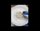 手捏ねパスタ　生地レシピ