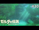 迷いの森を抜けて【ゼルダの伝説 ブレス オブ ザ ワイルドのんびり実況】#30