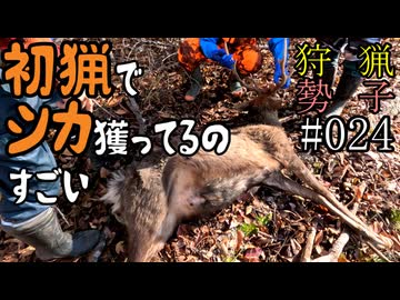 狩猟勢子動画＃024　初猟でシカ獲ってるのすごい