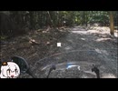 山梨林道めぐり　さんじゅうご　～高芝線編～