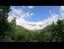 やっぱり僕は山道を征く... 【白馬岳】 前編