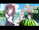 小樽組のスイカ割り【VOICEPEAK劇場】【ボイスソフト自作立ち絵投稿祭】