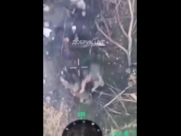 ホモと見るバックファイア