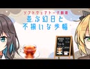 並ぶ幻日と不揃いな歩幅【ソフトウェアトーク劇場】