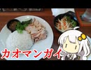 【カオマンガイの宴2025】あかりちゃんがカオマンガイを食べに行きました