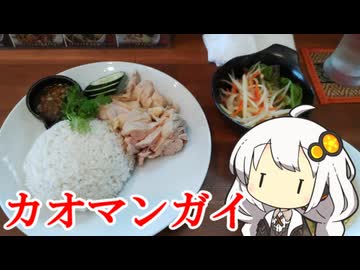 【カオマンガイの宴2025】あかりちゃんがカオマンガイを食べに行きました