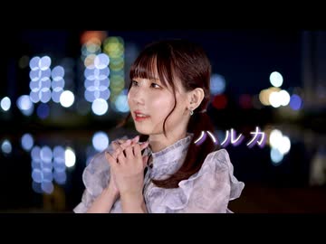 【踊ってみた】ハルカ/YOASOBI【神風紫】