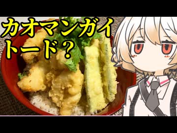 カオマンガイトード（広義）【ナースロボ】