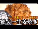 サイコロに生姜焼きの分量を任せた結果・・・【第11回ひじき祭】