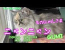 ニャンニャン【GUMI】作詞・作曲：万馬研太朗、編曲：石井務