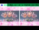 【！脳トレ+育脳に最適☆まちがい探しタイム！ 】＃279