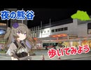 真夏の夜の熊谷を歩いてみよう