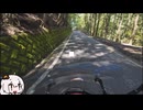 山梨林道めぐり　さんじゅうはち　～金山線編～