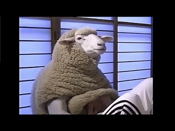 羊と同じ習性の空手部