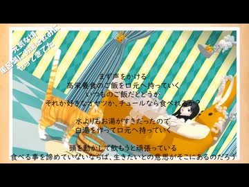 【MMD】猫が死ぬとき