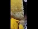 中華人民共和国版JOJOの最強スタンドのキングクリムゾンのエピタフはプーさん！を表現するニート・ひきこもり