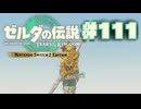 【ぽつぽつ実況 #111】アップグレード【ティアーズオブザキングダム】