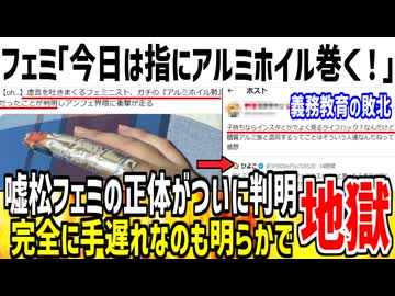 【悲報】男叩きの嘘松してたツイフェミ、ガチの『アルミホイル勢』だと発覚してしまう...