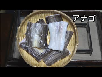 アナゴ【長火鉢とおっさん 414】