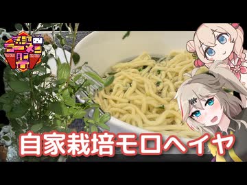 自分で育てたモロヘイヤ水つけ麺【第三回ニコニコラーメン祭自作部門】