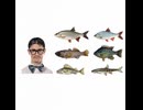 What's your type? Small, simple fish or giant monster fish?