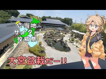 【ご当地サイダー投稿祭】春日部つむぎと大宮のサイダー