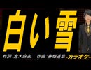 【ニコカラ】白い雪【off vocal】