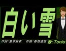 【TONIO】白い雪【カバー曲】