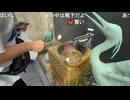 【やまおか】和倉温泉で温泉たまご【ミュートさん】　※能登旅