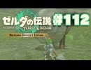 【ぽつぽつ実況 #112】井戸【ティアーズオブザキングダム】