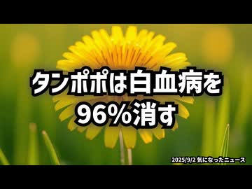 【タンポポは白血病を96％消す】◆タンポポの驚くべき効果：がん細胞のアポトーシス誘導と健康への可能性