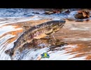 秋の未確認生物(long ver)歌ってみた
