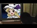 先輩のスペルカード　～遠野戦