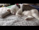 しまい忘れ
