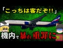 DQN『録画してんじゃねぇ！』離陸後に暴れた女 乗務員が規則説明し注意するも逆ギレ