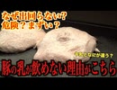 豚のミルクが飲めない理由が意外すぎる…