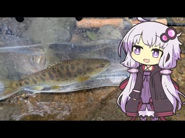 【１分釣り動画投稿祭2025】リベンジ釣行