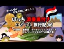 【ゆっくり】エジプト旅行記　46　最終回　ターキッシュエアラインズ機内食