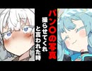 【ボイスロイド劇場】パン〇の写真撮らせてくれと言われた時【ボイロ達の反応集】