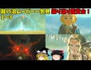 【ゆっくり実況】初めてのティアーズオブザキングダム！ part299前編【ティアーズオブザキングダム】