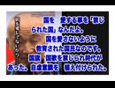 ２５・９・3  洗脳されて　教育されて　日本国民は　国を捨てた。自らが　日本を捨てた事も　気付かない。GHQ DSはの日本を　消滅させる　作戦は成功した。そして今日本の社会秩序を破壊しようとして居る。