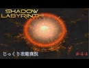 【SHADOW LABYRINTH】第44回　ガンプを倒せ　じっくり攻略実況　シャドウラビリンス