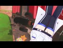 フィーちゃんカートワールド #23【マリオカートワールド】