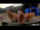 みんなでワイワイやっとります！
