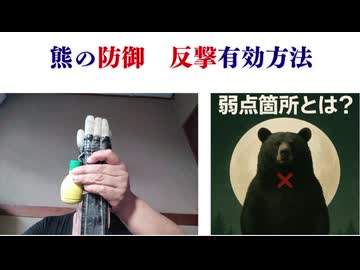 熊の防御　反撃有効方法