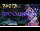 【SHADOW LABYRINTH】【ネタバレあり】第46回（最終回）　ガンプを倒せ　じっくり攻略実況　シャドウラビリンス