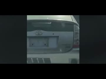 お嬢様と見る日本のプリウス