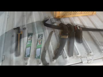 ノコノコ作業