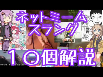今さら人に聞けないネットのネタ解説その31【結月ゆかり×春日部つむぎ】