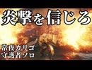 【ナイトレイン】守護者ソロ 山嶺なし常夜カリゴも炎撃を信じて安心安定攻略【ゆっくり実況】